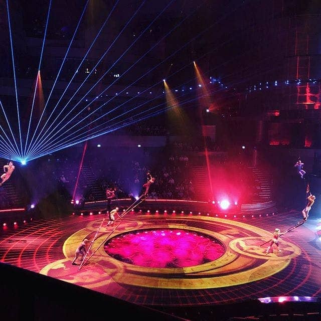 Live Shows and Performances